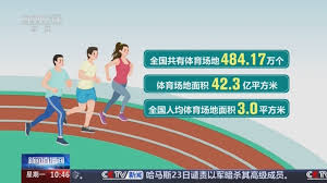 pa视讯游戏官网 篮球协调能力训练器材
